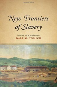 cover of the book New Frontiers of Slavery