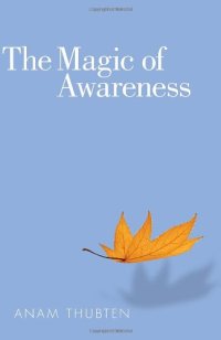 cover of the book The Magic of Awareness