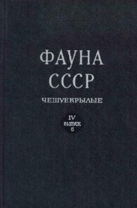 cover of the book Настоящие моли (Tineidae). Подсемейство Meessiinae