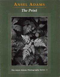 cover of the book The Print