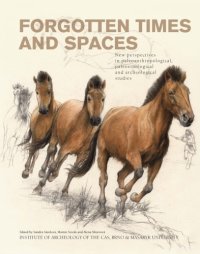 cover of the book Forgotten times and spaces : new perspectives in paleoanthropological, paleoetnological and archeological studies