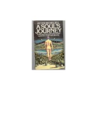 cover of the book A Soul’s Journey : A Fascinating Exploration of the Mysteries of Life and Afterlife