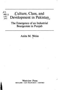 cover of the book Culture, Class, and Development in Pakistan: The Emergence of an Industrial Bourgeoisie in Punjab