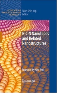 cover of the book B-C-N Nanotubes and Related Nanostructures