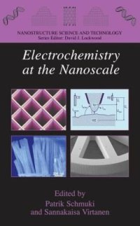 cover of the book Electrochemistry at the Nanoscale