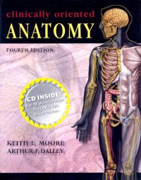 cover of the book Clinically Oriented Anatomy
