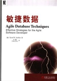 cover of the book Agile Database Techniques: Effective Strategies for the Agile Software Develop 敏捷数据