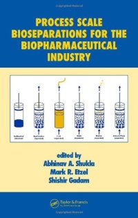 cover of the book Process scale bioseparations for the biopharmaceutical industry