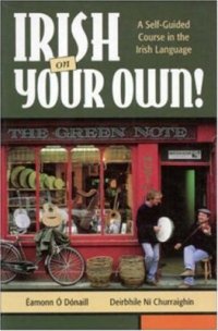 cover of the book Irish On Your Own