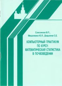 cover of the book Компьютерный практикум по курсу: математическая статистика в почвоведении