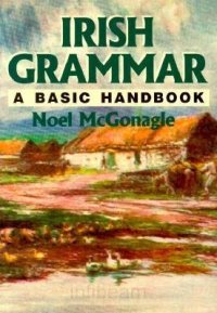 cover of the book Irish grammar: a basic handbook