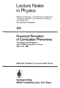 cover of the book Numerical Simulation of Combustion Phenomena