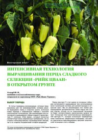 cover of the book Интенсивная технология выращивания перца сладкого селекции Рийк Цваан в открытом грунте