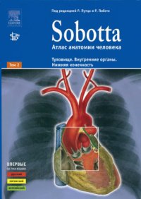 cover of the book Sobotta. Атлас анатомии человека. Том 2