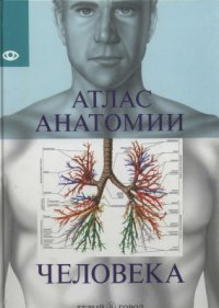 cover of the book Атлас анатомии человека