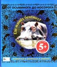 cover of the book Где живет бегемот? Животные в вопросах и ответах