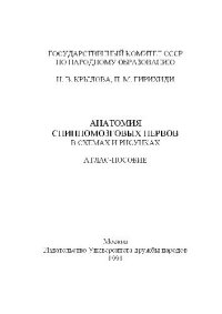 cover of the book Анатомия спинномозговых нервов в схемах и рисунках Атлас-пособие