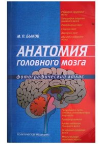 cover of the book Анатомия головного мозга. Фотографический атлас