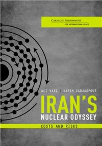 cover of the book Iran’s Nuclear Odyssey. Costs and Risks