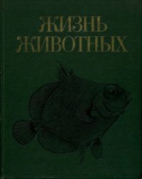 cover of the book Жизнь животных. В 7 томах. Том 4. Ланцетники. Круглоротые. Хрящевые рыбы. Костные рыбы