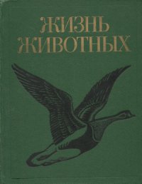 cover of the book Жизнь животных. В 7 томах. Том 6. Птицы