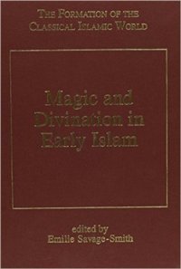 cover of the book Magic and Divination in Early Islam