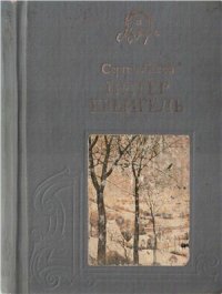 cover of the book Питер Брейгель Старший