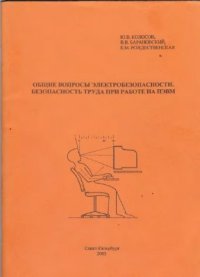 cover of the book Общие вопросы электробезопасности. Безопасность труда при работе на ПЭВМ