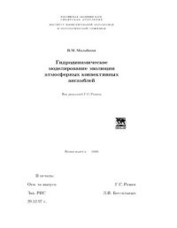 cover of the book Гидродинамическое моделирование эволюции атмосферных конвективных ансамблей