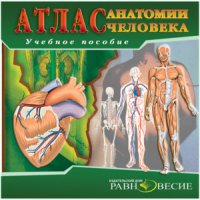 cover of the book Атлас анатомии человека