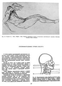 cover of the book Пластическая анатомия для художников. Том 1. Строение тела