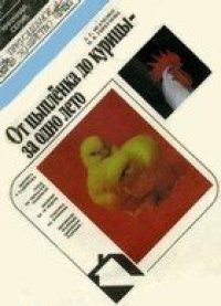 cover of the book От цыпленка до курицы - за одно лето