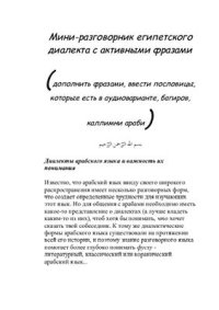 cover of the book Мини разговорник египетского диалекта