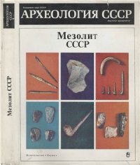 cover of the book Мезолит СССР