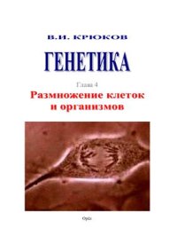 cover of the book Генетика. Глава 4. Размножение клеток и организмов