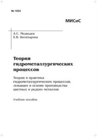 cover of the book Теория гидрометаллургических процессов: Теория и практика гидрометаллургических процессов, лежащих в основе производства цветных и редких металлов