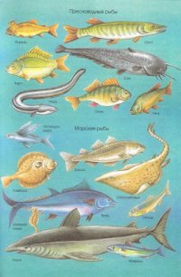 cover of the book Большой детский словарь. Часть 2