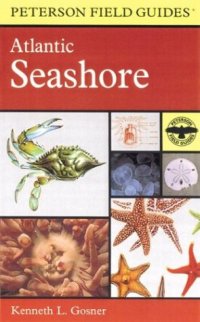 cover of the book A Field Guide to the Atlantic Seashore