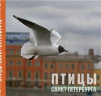 cover of the book Птицы Санкт-Петербурга