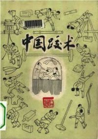 cover of the book Китайская борьба