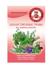 cover of the book Лекарственные травы на вашем участке