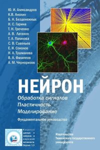 cover of the book Нейрон. Обработка сигналов. Пластичность. Моделирование: фундаментальное руководство