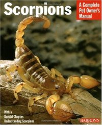 cover of the book Scorpions: Everything about Purchase, Care, Feeding, and Housing