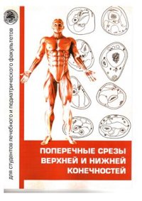 cover of the book Поперечные срезы верней и нижней конечностей