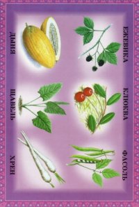 cover of the book Развивающее лото. Дары лета с красочными рисунками и загадками