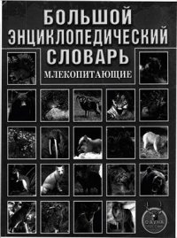 cover of the book Млекопитающие. Большой энциклопедический словарь