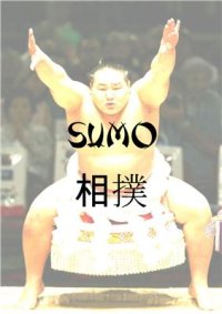 cover of the book Sumo. Compilation finale de textes parus dans le magazine Sumo Fan Magazine