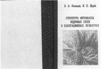 cover of the book Структура фитомассы кедровых сосен в плантационных культурах