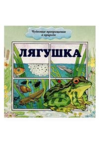 cover of the book Лягушка