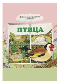 cover of the book Птица